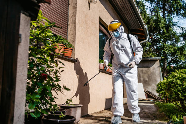 Best Rat Extermination Near Me  in Silver Lake, FL