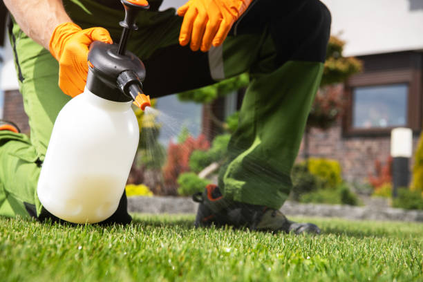 Best Best Pest Control Companies  in Silver Lake, FL