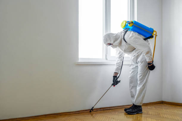 Pest Control Cost in Silver Lake, FL